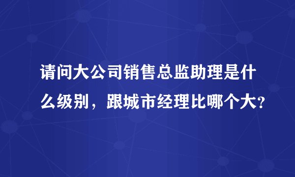 请问大公司销售总监助理是什么级别,跟城市经理比哪个大?