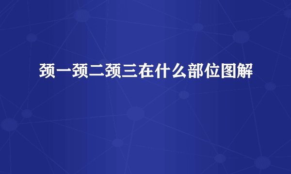 颈一颈二颈三在什么部位图解