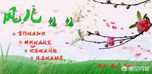 有人说苗木的行情不好,是真的吗?