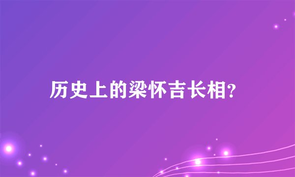 历史上的梁怀吉长相？