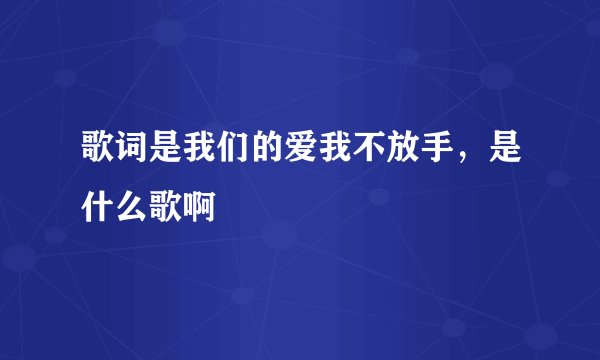 歌词是我们的爱我不放手，是什么歌啊