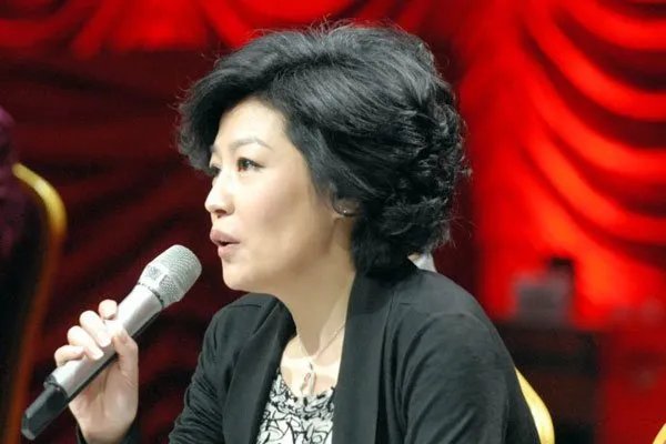 哈文简历及个人资料 李咏的妻子哈文有结婚了吗
