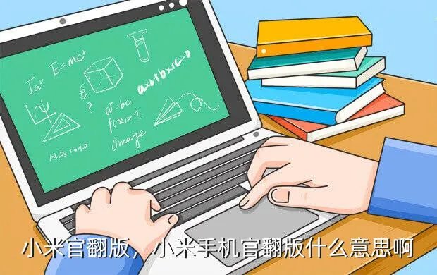 小米官翻版,小米手机官翻版什么意思啊?
