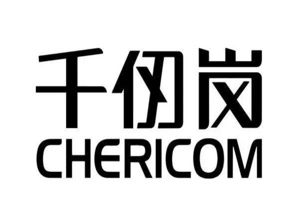 羽绒服的十大品牌有哪些