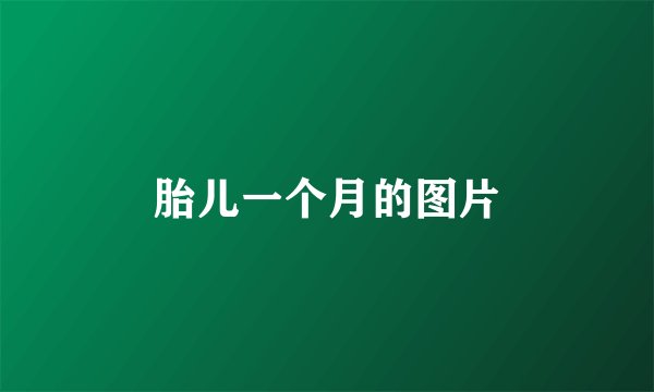胎儿一个月的图片