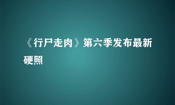 《行尸走肉》第六季发布最新硬照