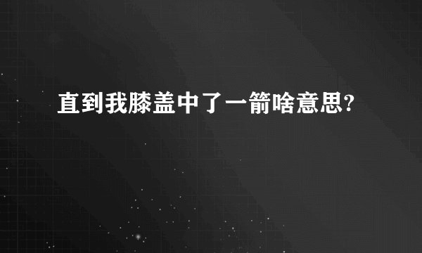 直到我膝盖中了一箭啥意思?