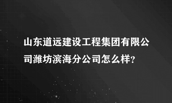 山东道远建设工程集团有限公司潍坊滨海分公司怎么样？