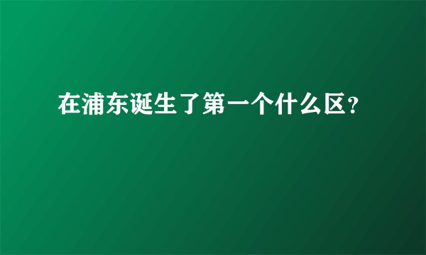 在浦东诞生了第一个什么区？