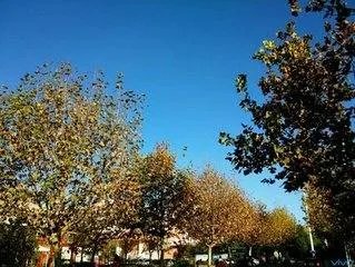 华南财经大学真实存在吗