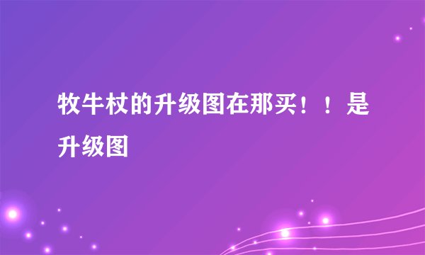 牧牛杖的升级图在那买！！是升级图