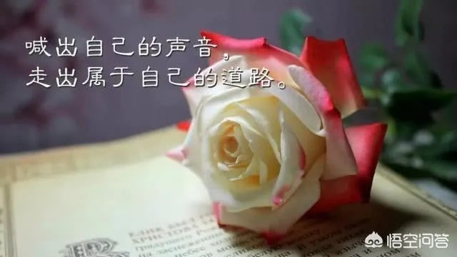 有哪些2018致自己的经典语录?