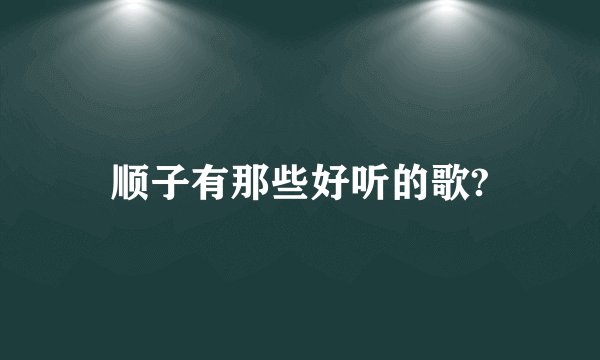 顺子有那些好听的歌?