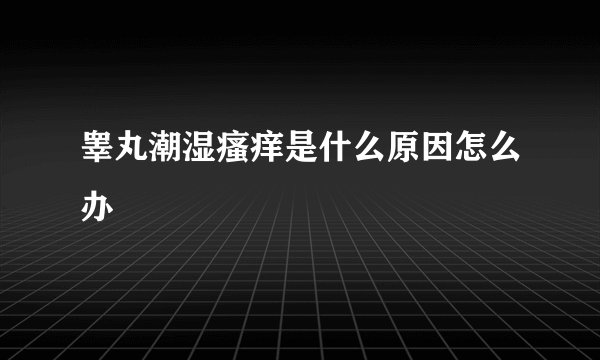 睾丸潮湿瘙痒是什么原因怎么办