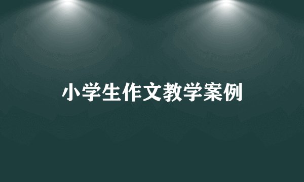 小学生作文教学案例