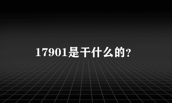 17901是干什么的?