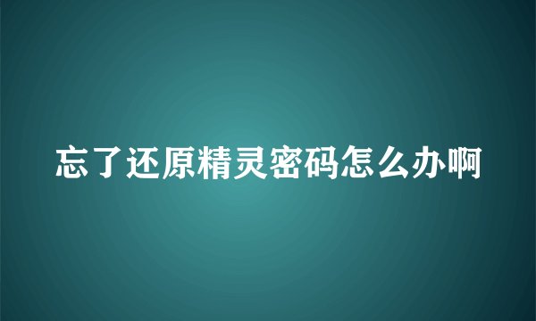 忘了还原精灵密码怎么办啊