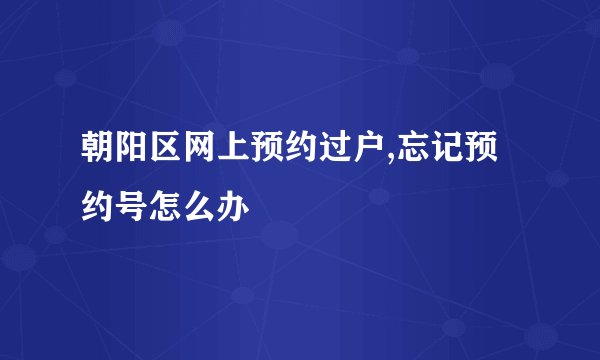 朝阳区网上预约过户,忘记预约号怎么办