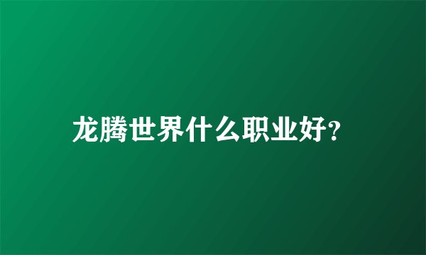 龙腾世界什么职业好？