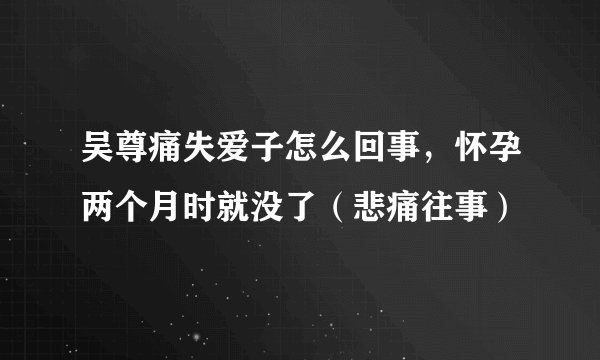 吴尊痛失爱子怎么回事,怀孕两个月时就没了(悲痛往事)
