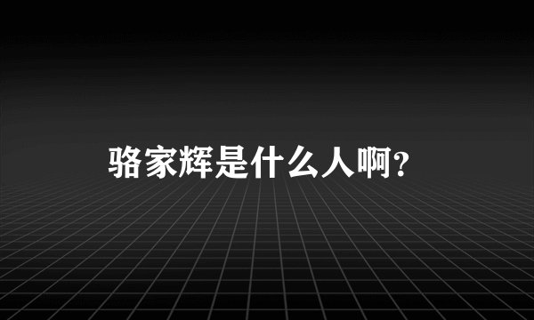 骆家辉是什么人啊?