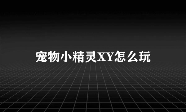 宠物小精灵XY怎么玩