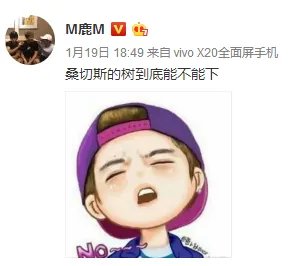 鹿晗说的下树了是指？
