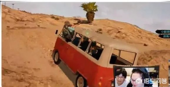 PDD现在为什么不直播了?