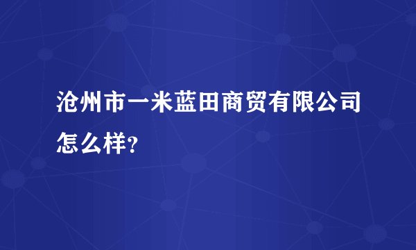沧州市一米蓝田商贸有限公司怎么样?