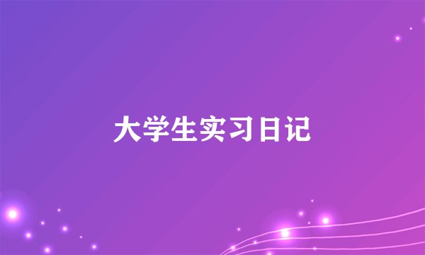 大学生实习日记