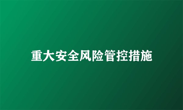 重大安全风险管控措施