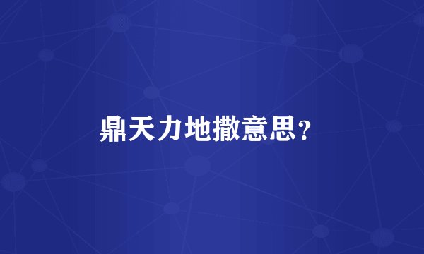 鼎天力地撒意思？