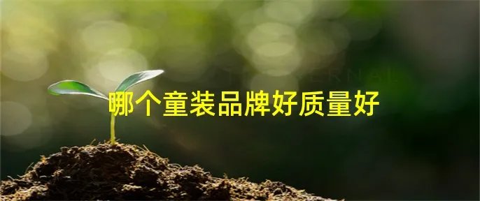 哪个童装品牌好质量好